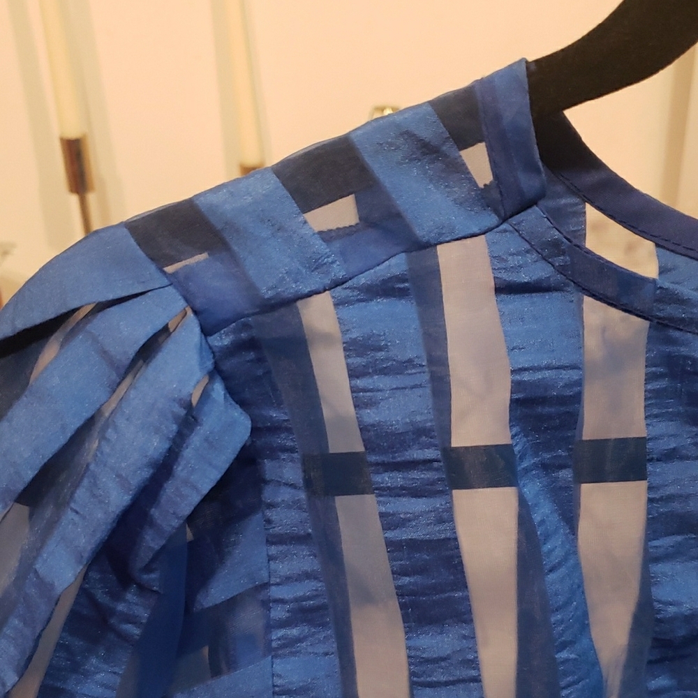 Vintage Blue Sheer Striped Blouse - Picture 9 of 9
